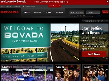 Bodog website